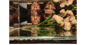 IL CUORE, LA MILZA, IL LAGO - Immagine: 1