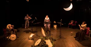 VARIAZIONI FURIOSE - Immagine: 1