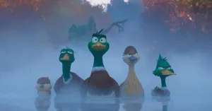 PRENDI IL VOLO - Immagine: 2