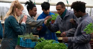 SÌ CHEF - LA BRIGADE - Immagine: 2